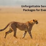 Luxury Serengeti safari