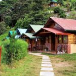 Best Tour Companies India for Memorable Trips