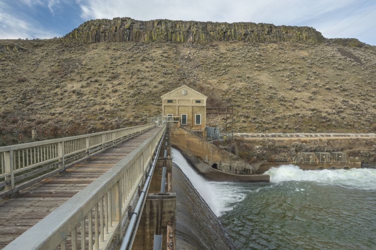 Sewage Treatment Plant Vendors